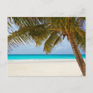 Carte Postale Plage du Paradis tropical