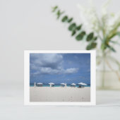 Carte Postale Plage Eagle (Debout devant)