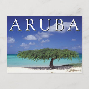 Carte Postale Plage Eagle Caraïbes, Aruba