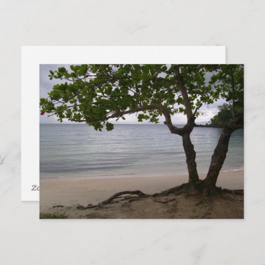 Carte Postale Plage Escondido (Devant / Derrière)