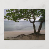 Carte Postale Plage Escondido (Devant)