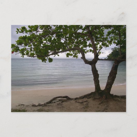 Carte Postale Plage Escondido (Devant)