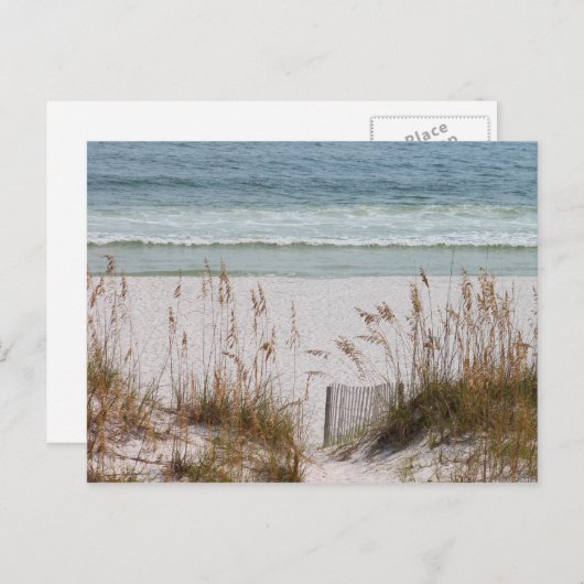 Carte Postale Plage et océan (Devant / Derrière)