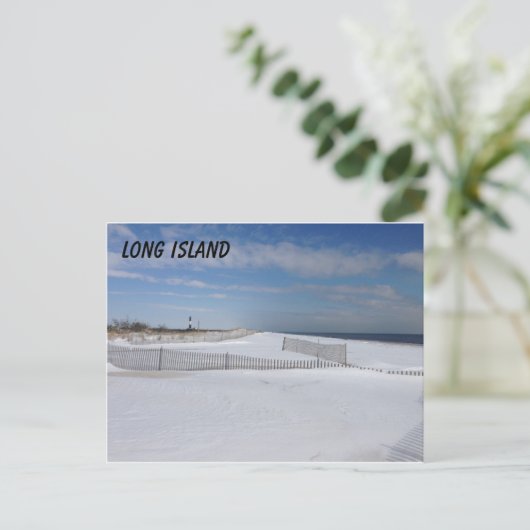 Carte Postale Plage gelée (Debout devant)