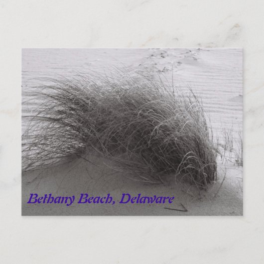 Carte postale Plage Grasss Bethany (Devant)