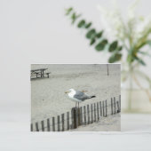 Carte Postale Plage Gull (Debout devant)
