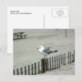 Carte Postale Plage Gull (Devant / Derrière)