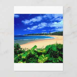 Carte Postale Plage Haena Kauai Hawaii