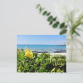 Carte Postale Plage hawaïenne (Debout devant)
