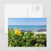 Carte Postale Plage hawaïenne (Devant / Derrière)