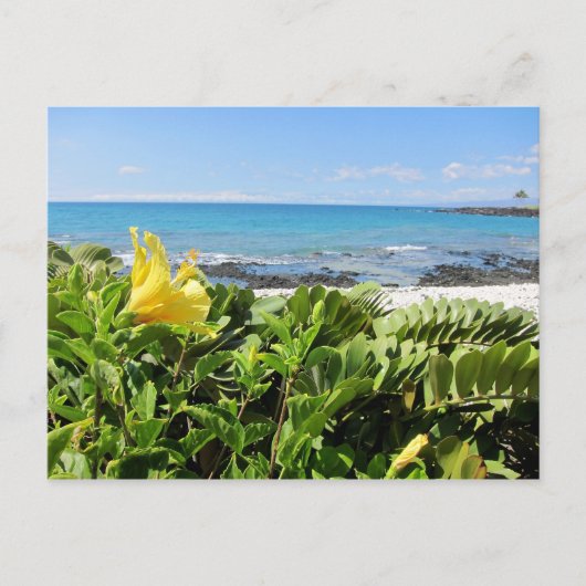 Carte Postale Plage hawaïenne (Devant)