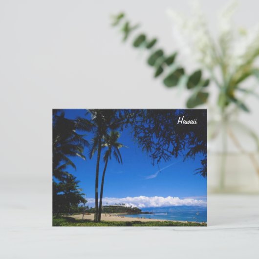 Carte Postale Plage hawaïenne (Debout devant)