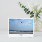 Carte Postale Plage Orange Alabama (Debout devant)