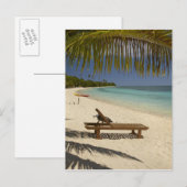 Carte Postale Plage, palmiers et transat (Devant / Derrière)