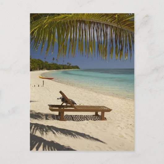 Carte Postale Plage, palmiers et transat (Devant)
