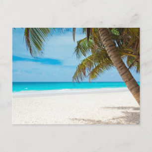 Carte Postale Plage Paradis Tropical