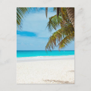 Carte Postale Plage Paradis Tropical