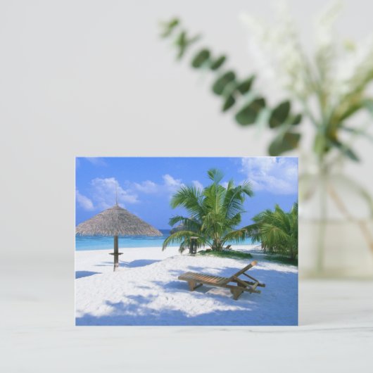 Carte Postale Plage Paradise Vacances (Debout devant)