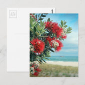 Carte Postale Plage paradisiaque de fleurs rouges Nouvelle-Zélan (Devant / Derrière)