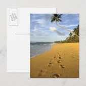 Carte Postale Plage Porto Rico (Devant / Derrière)