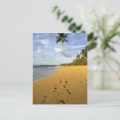 Carte Postale Plage Porto Rico (Debout devant)