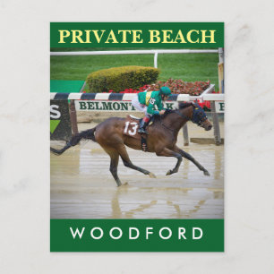 Carte Postale Plage privée