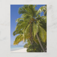 Plage sur l'île de One Foot, Aitutaki, Îles Cook