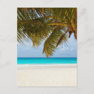 Carte Postale Plage tropicale