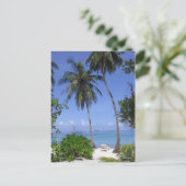 Carte Postale Plage tropicale (Debout devant)