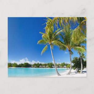 Carte Postale Plage tropicale