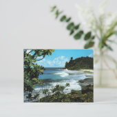 Carte Postale Plage tropicale (Debout devant)