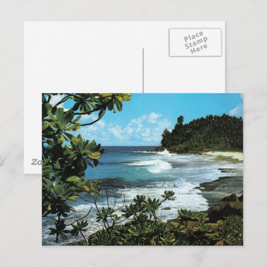 Carte Postale Plage tropicale (Devant / Derrière)