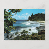 Carte Postale Plage tropicale (Devant)