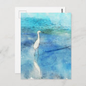 Carte Postale Plage tropicale à Turquoise Aqua Turquoise Blue (Devant / Derrière)