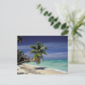 Carte Postale Plage Tropicale, Anse Source D'Argent, La Digue (Debout devant)