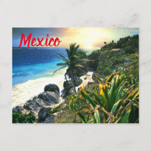 Carte Postale Plage Tropicale de Mexico Plage Côte Coucher de so