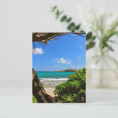 Carte Postale Plage tropicale des Caraïbes (Debout devant)