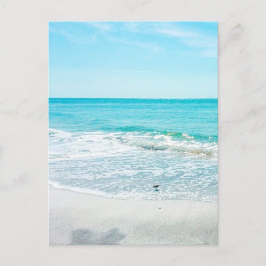 Carte Postale Plage tropicale Sable Ocean Waves Sea Shells Golfe (Devant)