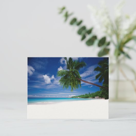 Carte Postale Plage tropicale | Seychelles (Debout devant)