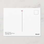 Carte Postale Plage - Venezuela - Voyage - océan (Dos)