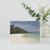 Carte Postale Plage vierge et cocotiers. (Debout devant)
