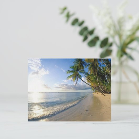 Carte Postale plages (Debout devant)