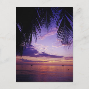 Carte Postale Plages à Negril, Jamaïque 2