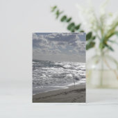 Carte Postale Plages de pêche et rêves (Debout devant)