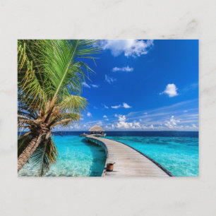 Carte Postale Plages tropicales   Dusit Thani Maldives
