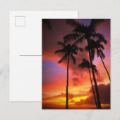 Carte Postale Plages tropicales | Maui Hawaii (Devant / Derrière)