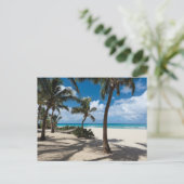 Carte Postale Plages tropicales | Plage d'Anguilla, Palmier (Debout devant)
