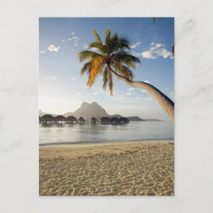 Carte Postale Plages tropicales   Plages, Bora Bora