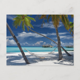 Carte Postale Plages tropicales Sandy Beach, Maldives