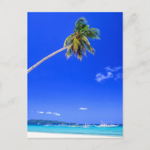 Carte Postale Plages tropicales   White Beach, Phillipines